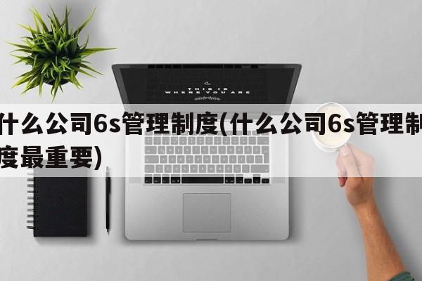 什么公司6s管理制度(什么公司6s管理制度最重要)